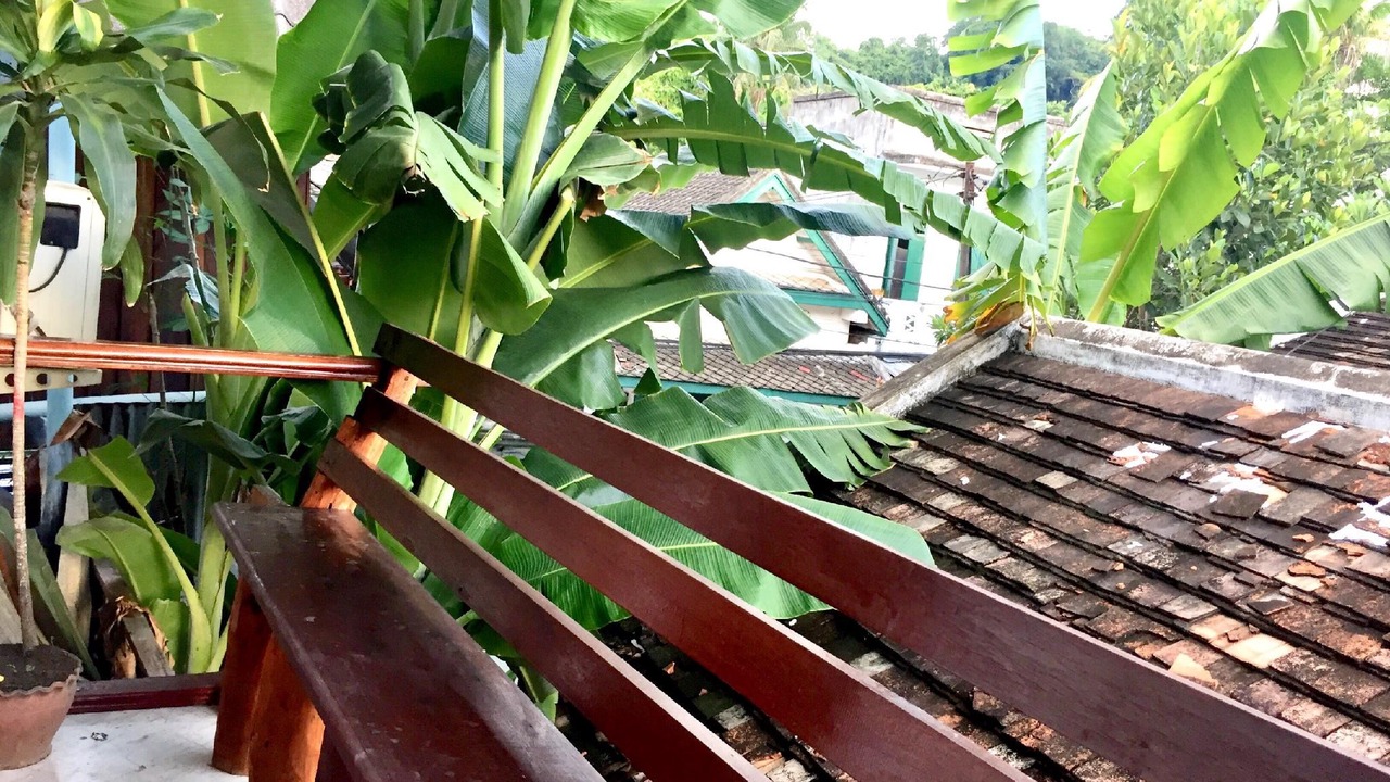 Photo of Others in Luang Prabang