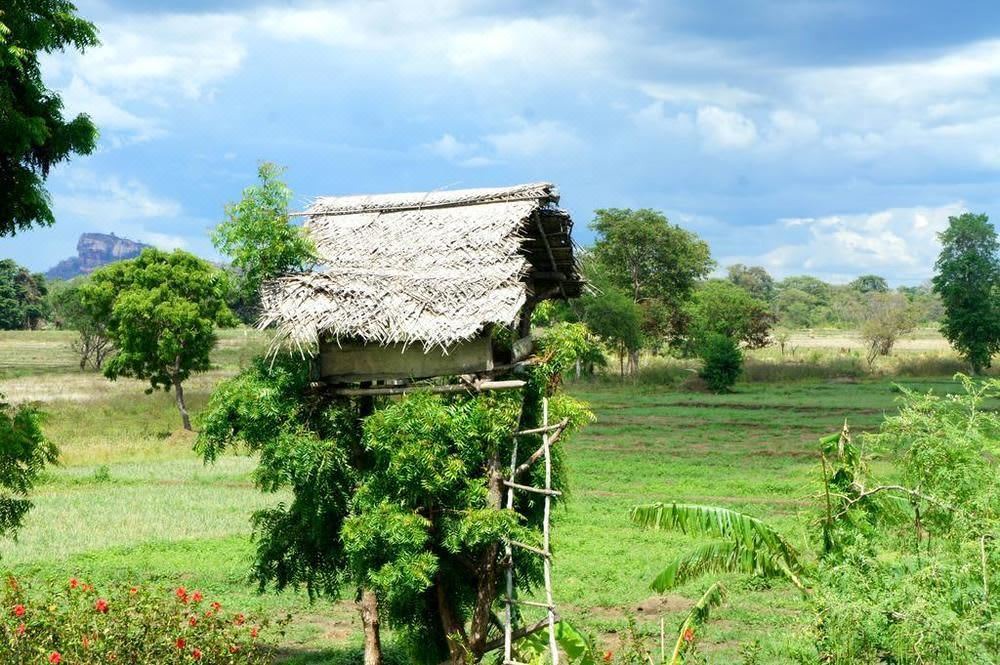 Photo of Others in Inamaluwa