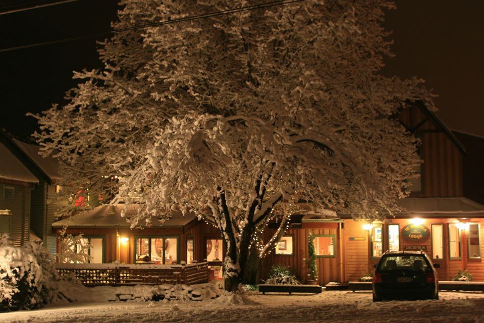 Photo of Buildings in Wanaka