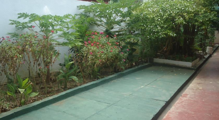 Photo of Outdoor in Mirissa
