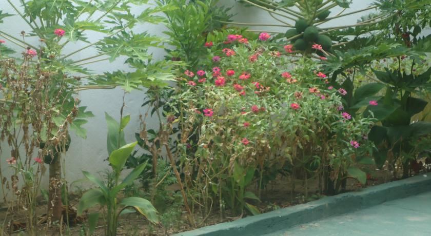 Photo of Outdoor in Mirissa