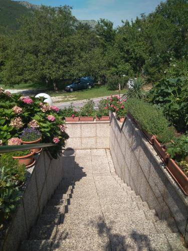 Photo of Others in Nova Gorica