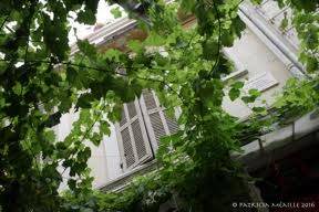 Photo of Others in Arles City Centre