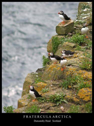 Photo of Others in John O'Groats