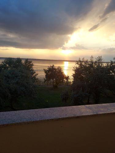 Photo of Others in Constanta