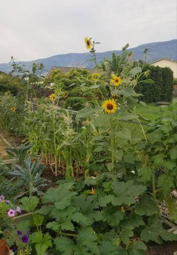 Photo of Others in Okanagan-Similkameen