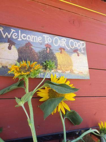 Photo of Others in Okanagan-Similkameen