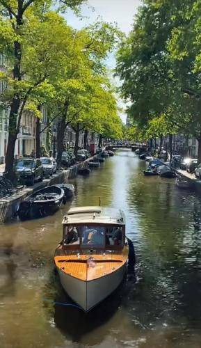 Photo of Others in Jordaan