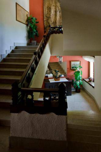 Photo of Others in Lekunberri