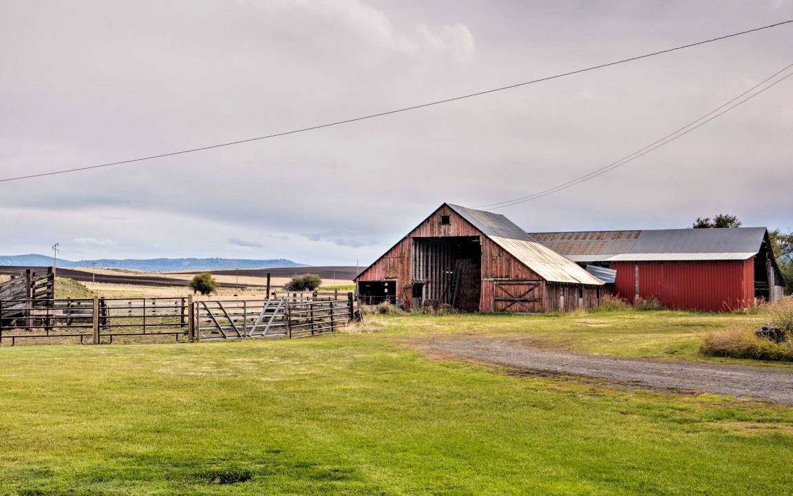 Photo of Buildings in Grangeville