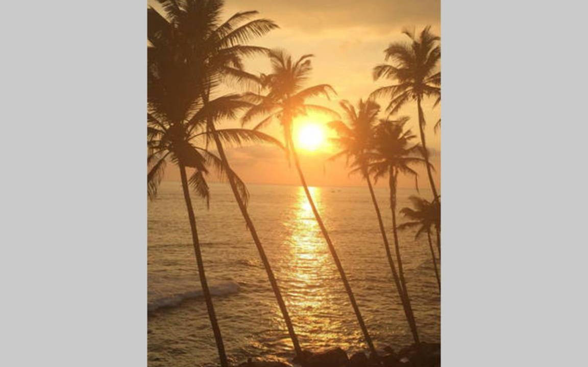 Photo of Others in Mirissa