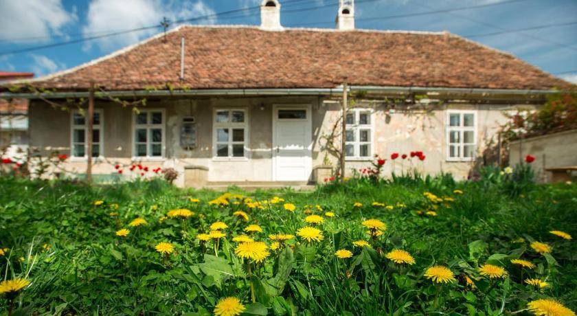 Photo of Buildings in Fagaras