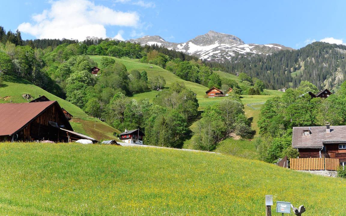 Photo of Others in Glarus Sued