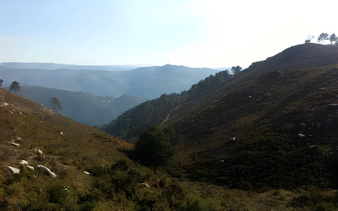 Photo of Others in Bouro