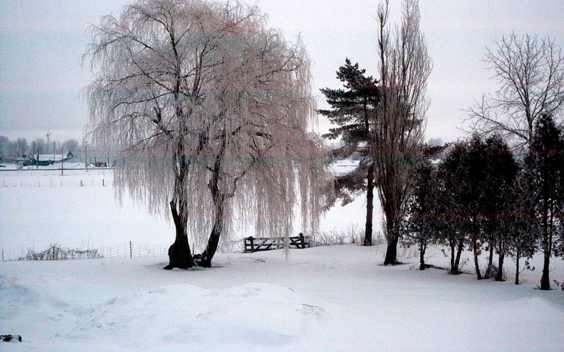 Photo of Others in North Dundas