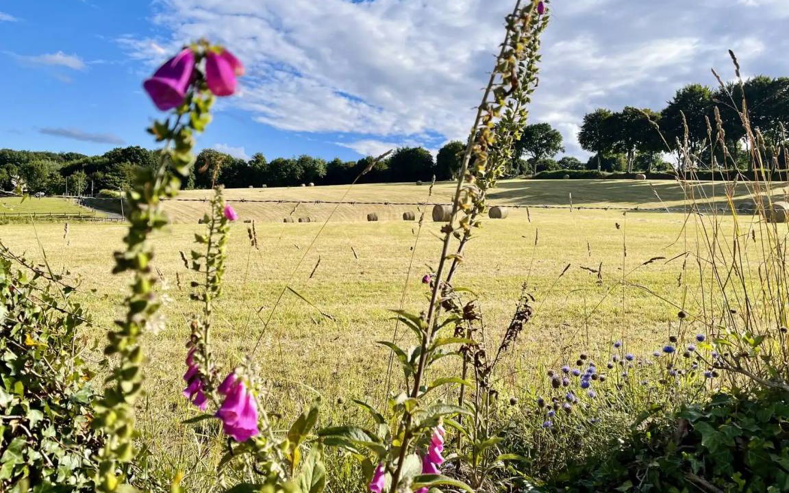 Photo of Others in Saint-Germain-de-Tallevende-la-Lande-Vaumont