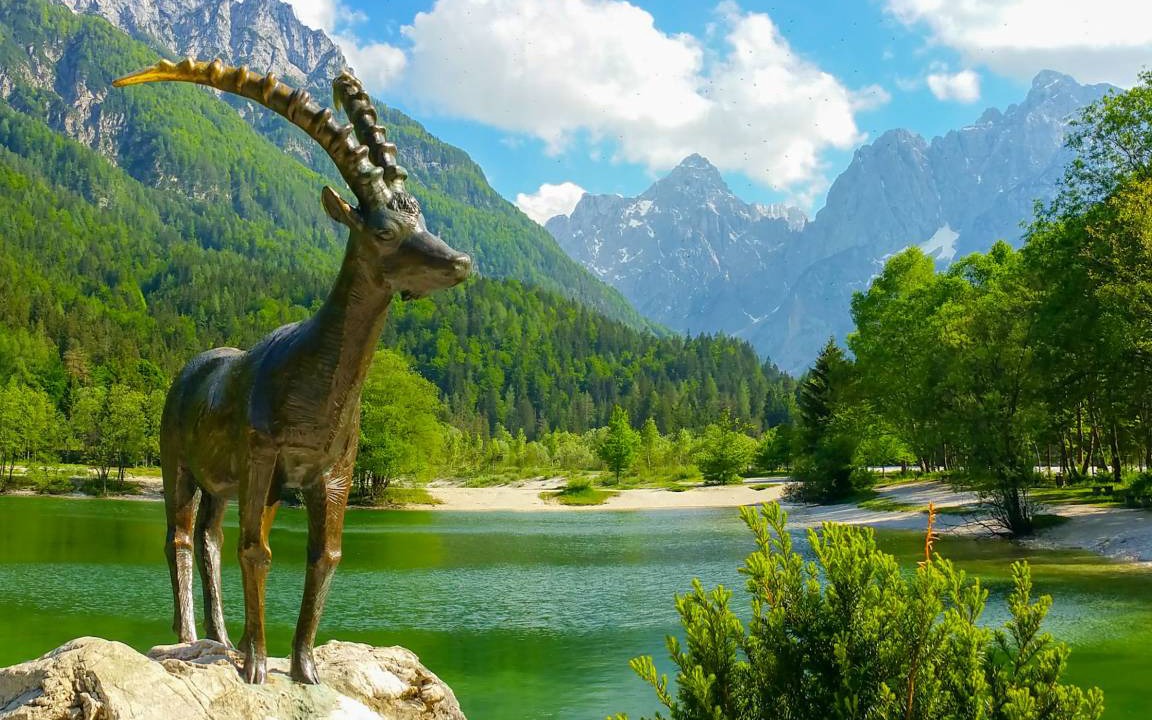 Photo of Others in Kranjska Gora