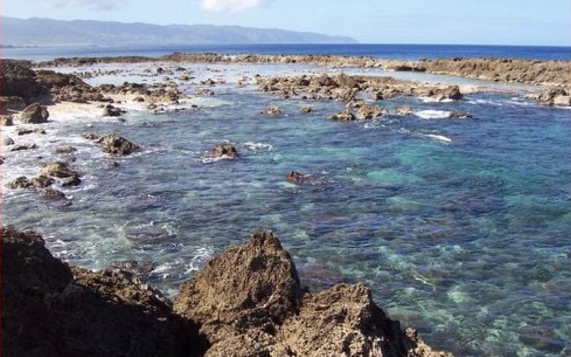 Photo of Others in Pupukea