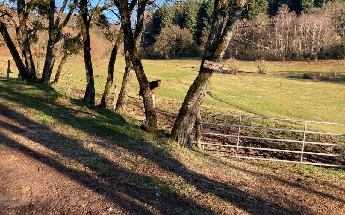 Photo of Others in Saint-Leger-sous-Beuvray