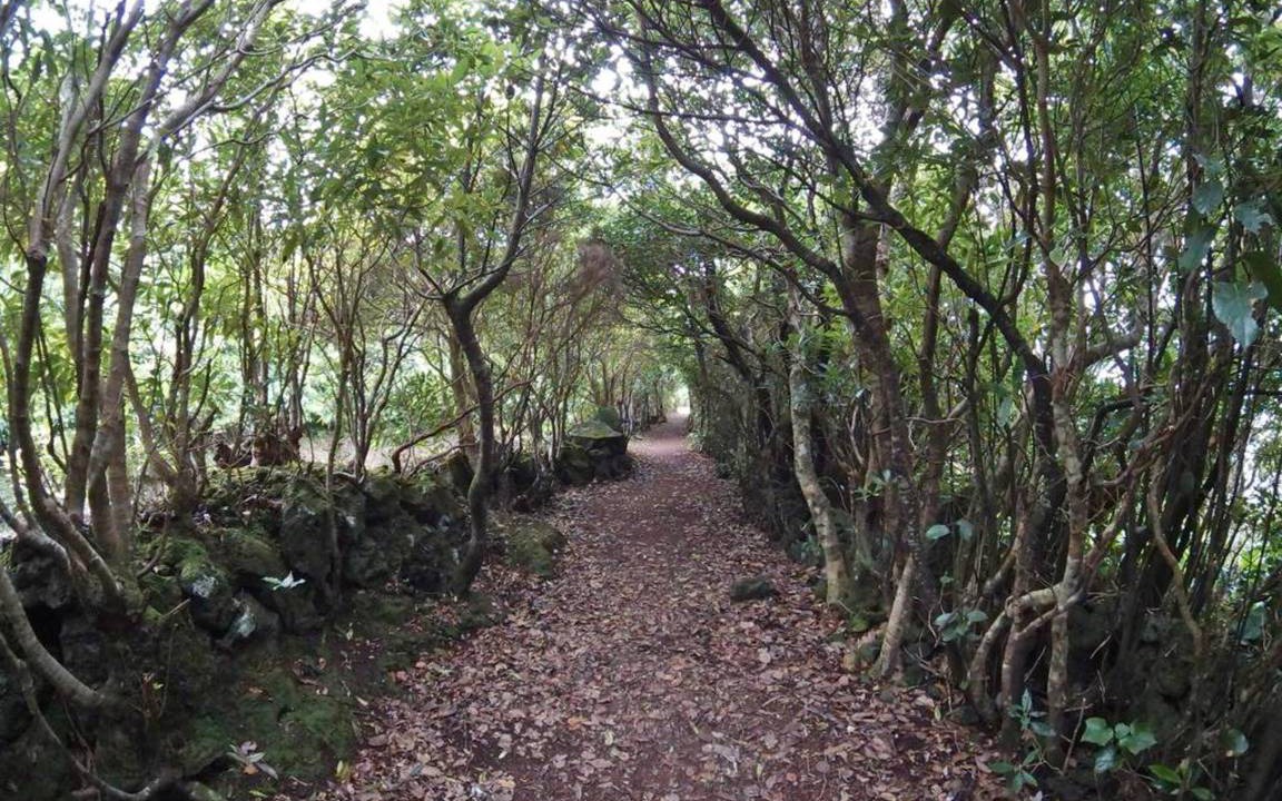 Photo of Outdoor in Santo Amaro