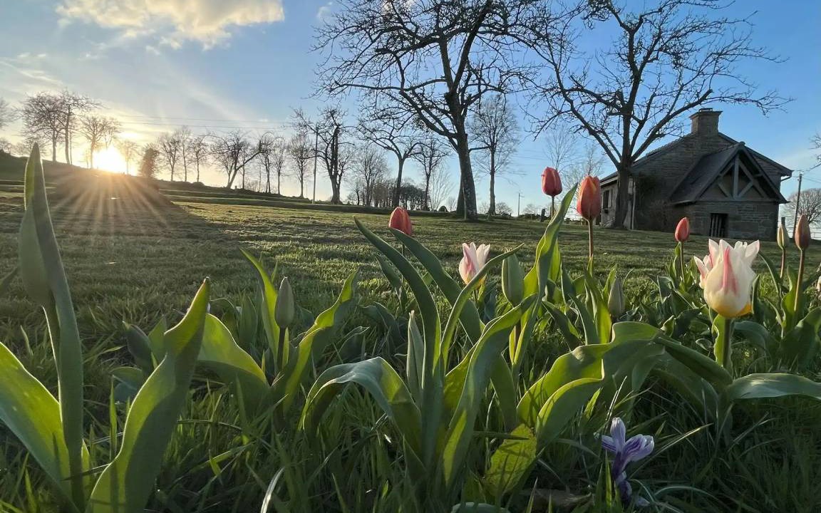 Photo of Others in Saint-Germain-de-Tallevende-la-Lande-Vaumont