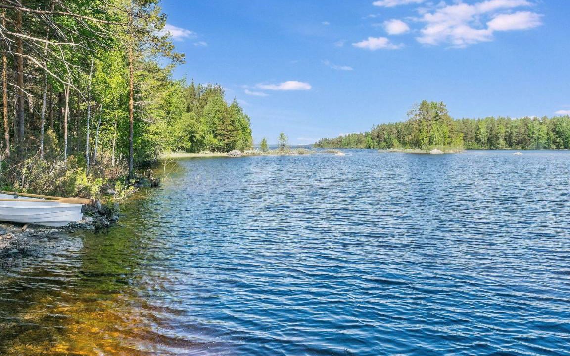 Photo of Others in Koli National Park