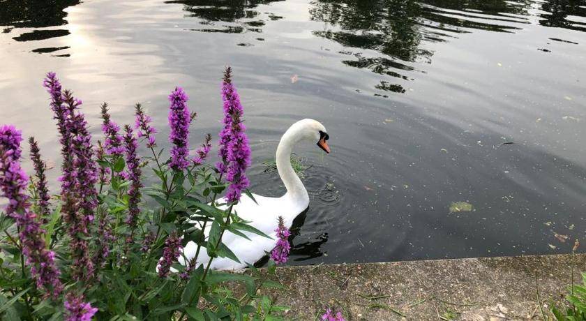 Photo of Others in Staines