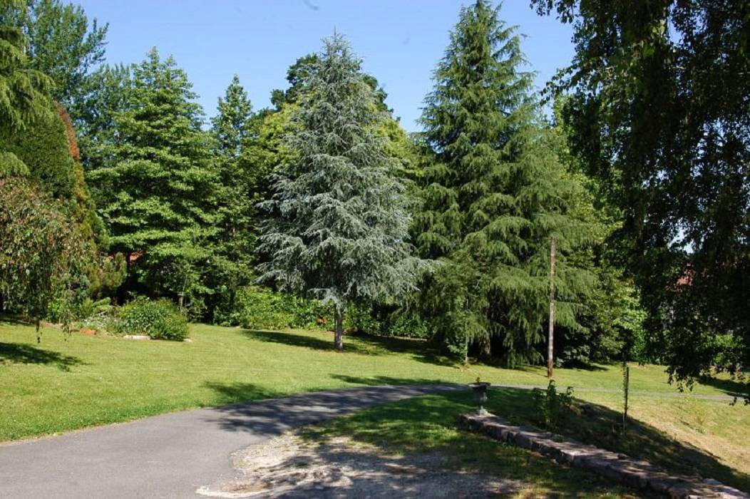 Photo of Others in Itxassou