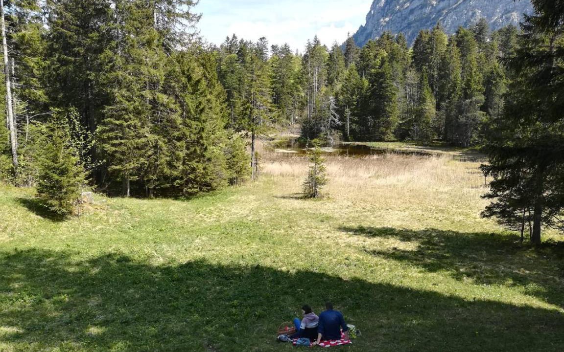 Photo of Others in Giswil