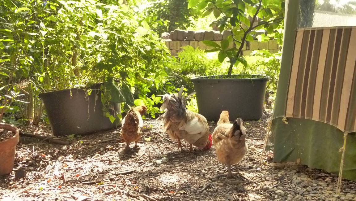 Photo of Others in Oosterpoortwijk