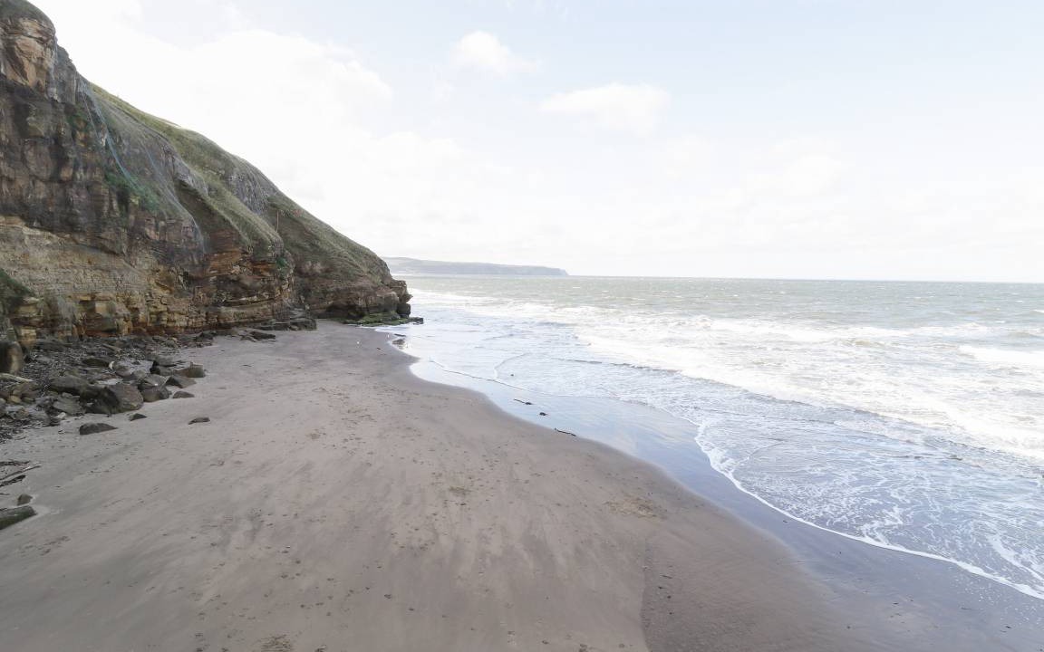 Photo of Others in Whitby