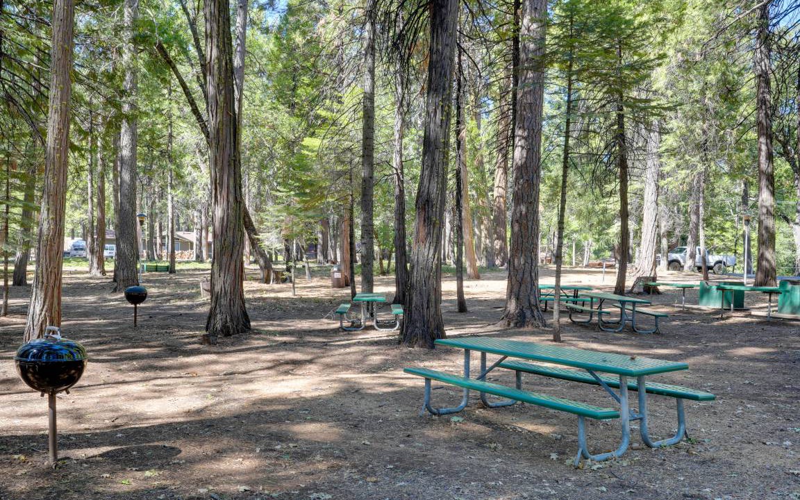 Photo of Others in Pollock Pines