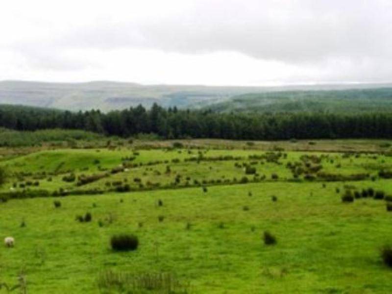 Photo of Others in Glenariff