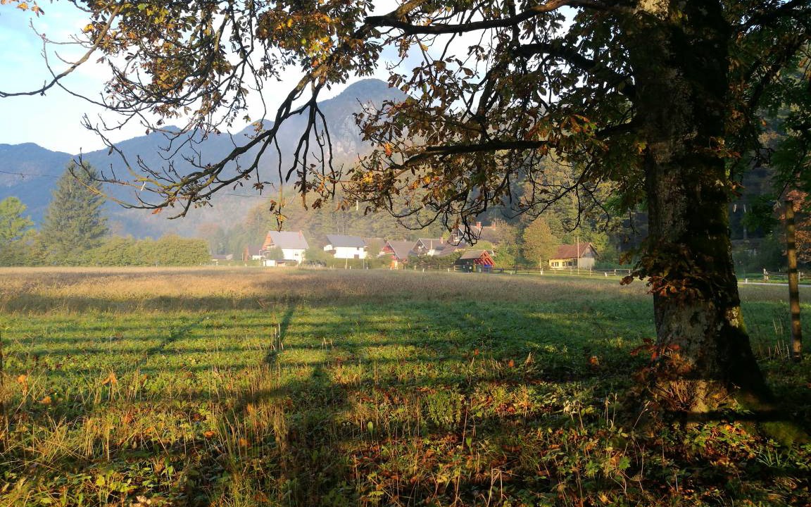 Photo of Others in Mojstrana