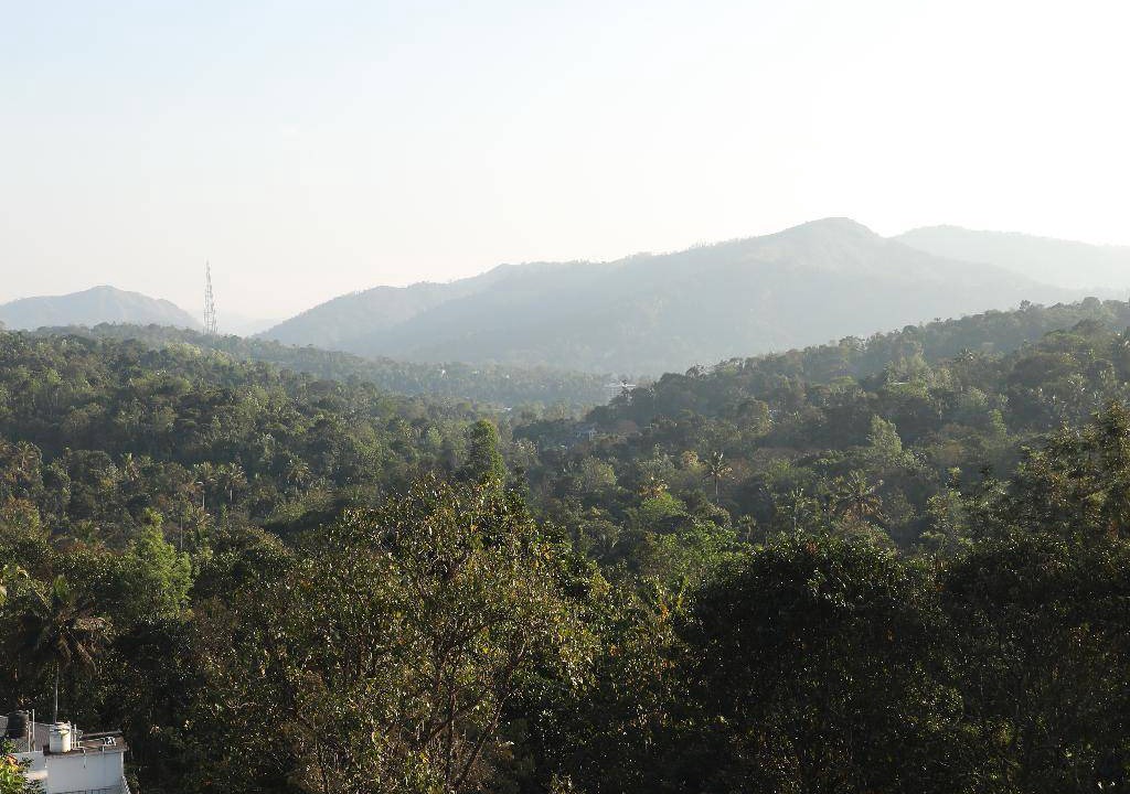 Photo of Others in Thekkady