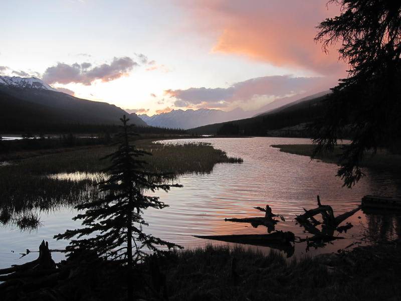 Photo of Others in Canadian Rockies