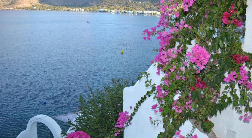 Photo of Others in Tilos