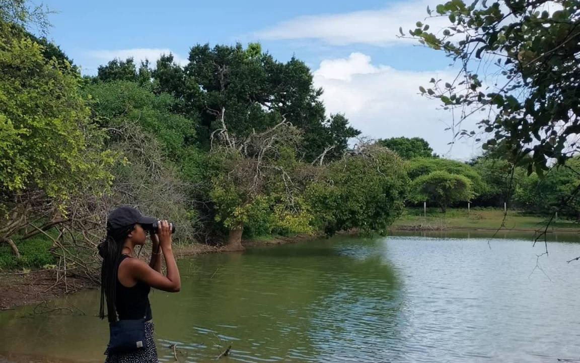 Photo of Others in Palatupana