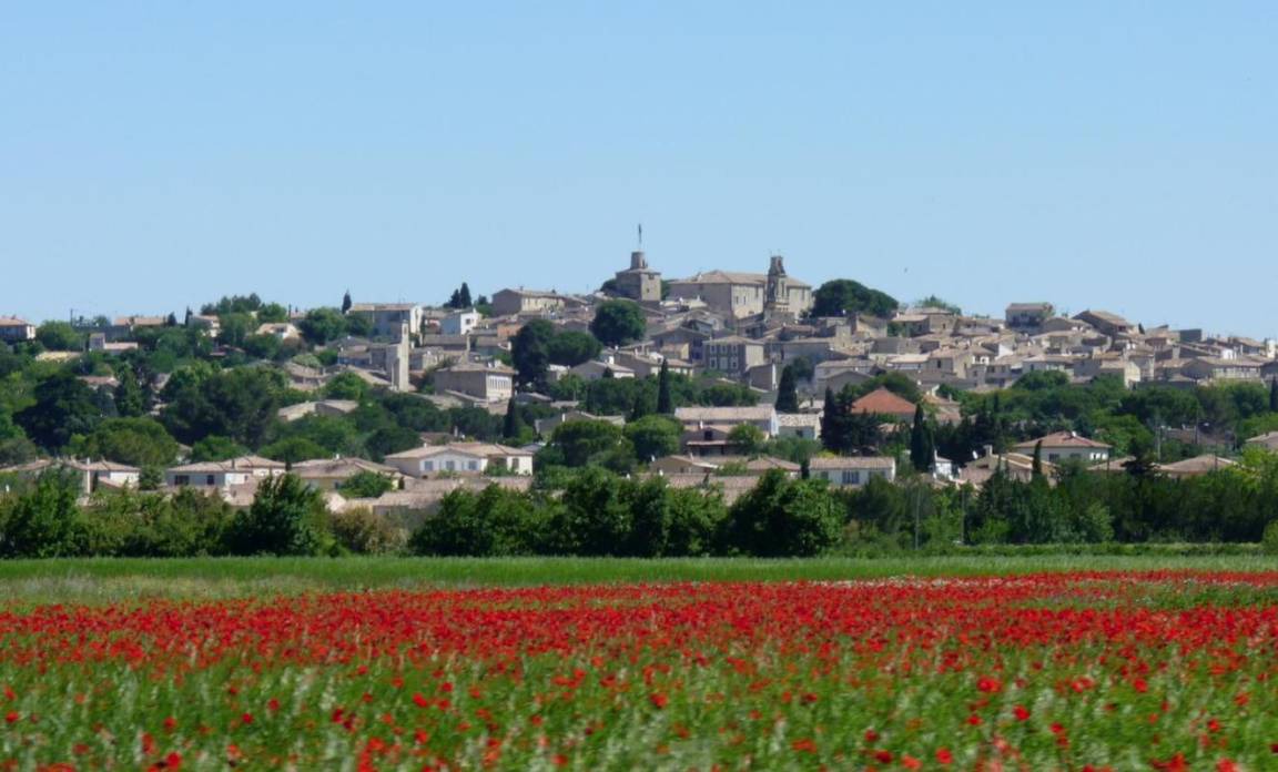 Photo of Others in Gallargues-le-Montueux