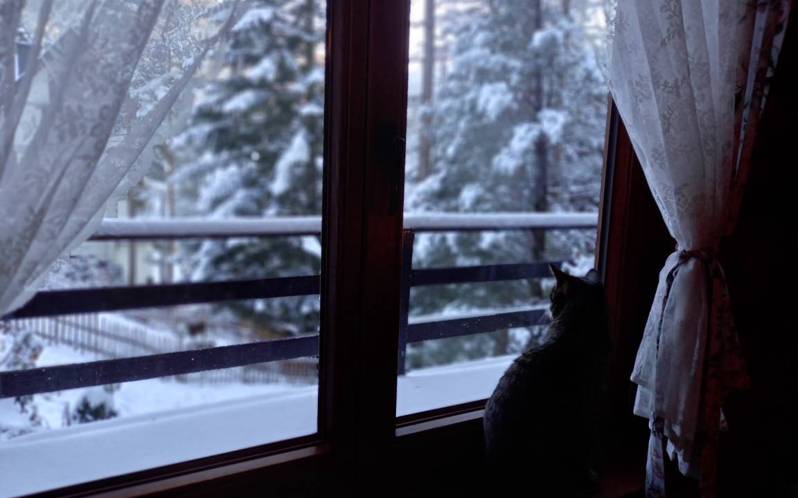 Photo of Others in Zakopane