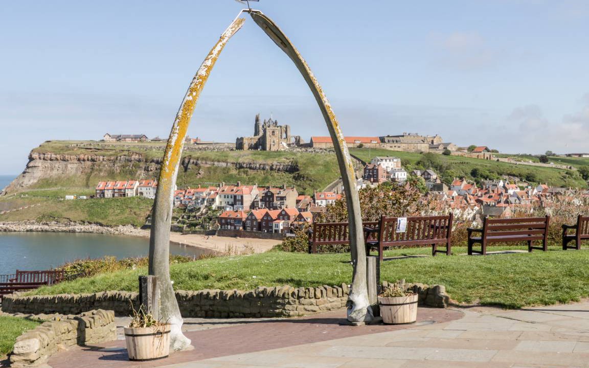 Photo of Others in Whitby