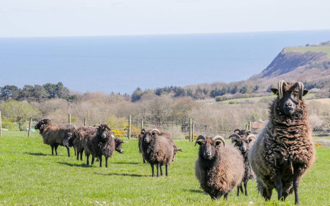 Photo of Others in Staintondale