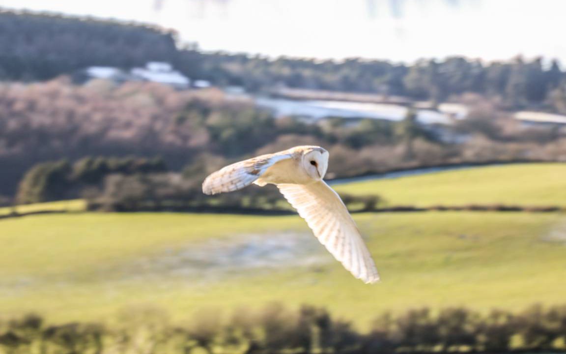 Photo of Others in Staintondale