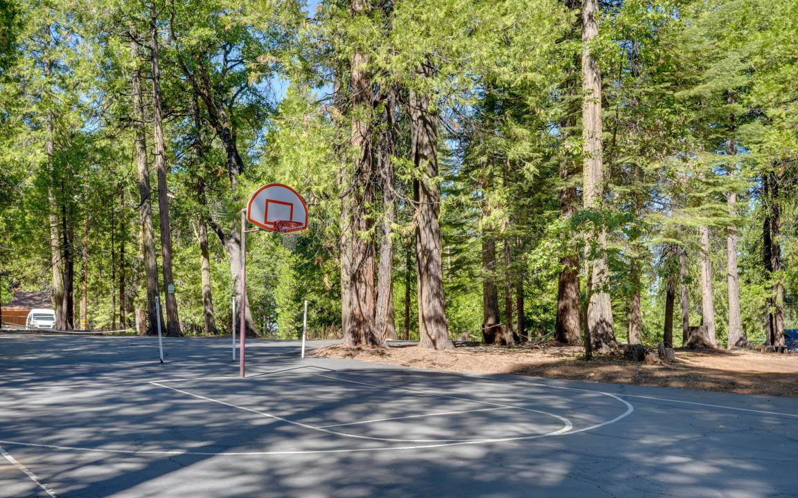 Photo of Others in Pollock Pines