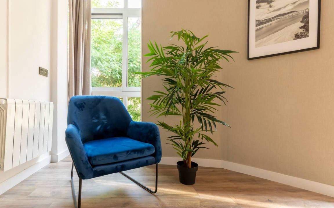 Photo of Livingroom in Bilbao la Vieja