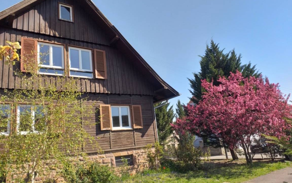 Photo of Others in Wintzenheim