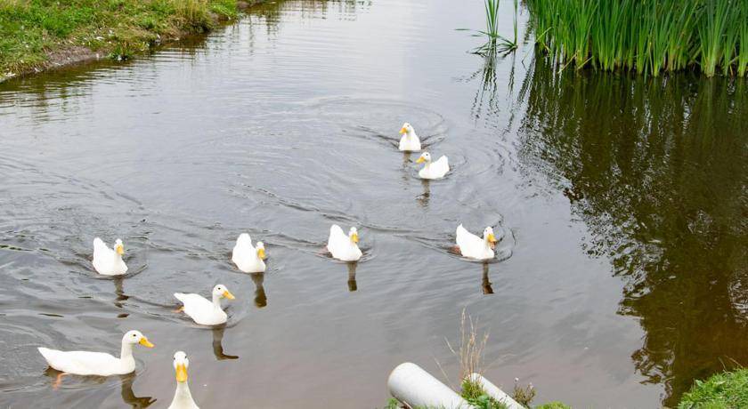 Photo of Others in Sleeuwijk