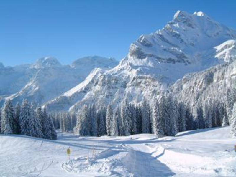Photo of Others in Braunwald