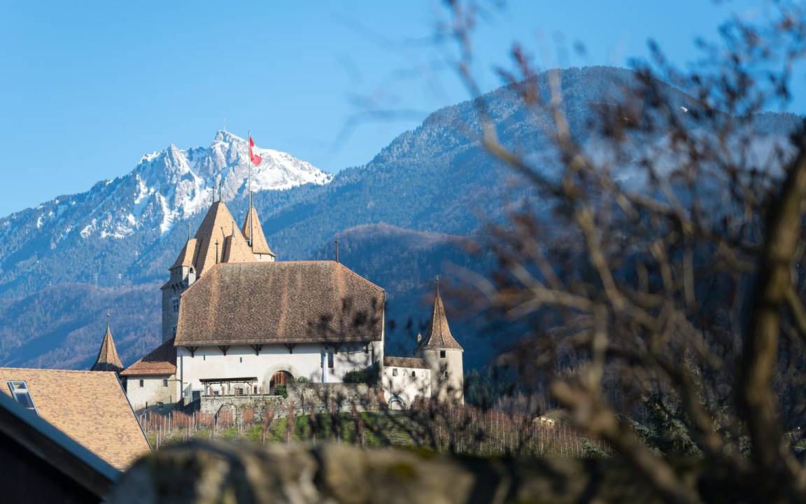 Photo of Others in Aigle