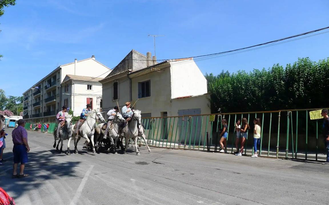 Photo of Others in Tarascon
